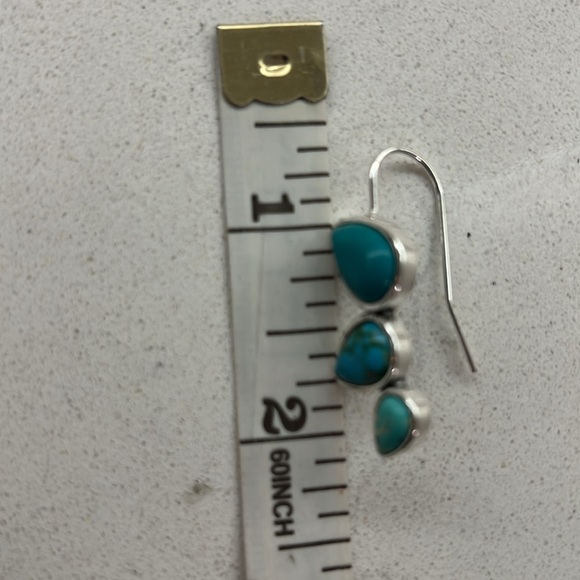 Faux Turquoise Fashion Earrings - Picture 3 of 4